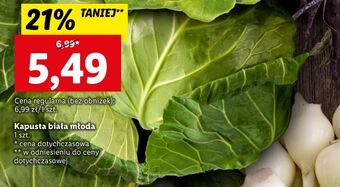 Lidl Kapusta biała młoda oferta