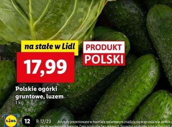 Lidl Ogórki gruntowe oferta
