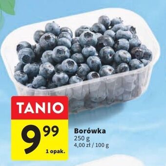 Intermarche Borówka oferta