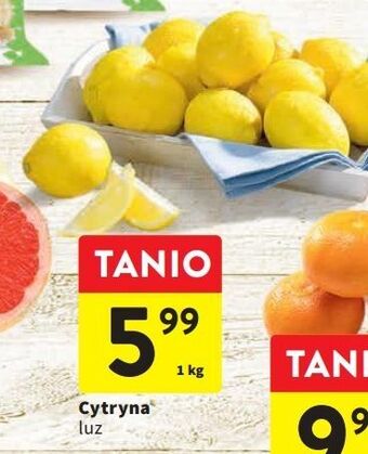 Intermarche Cytryny oferta