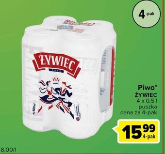 Globi Piwo żywiec jasne pełne oferta