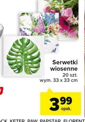 Carrefour Serwetki wiosenne wym. 33 x cm oferta