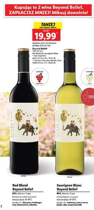 Lidl Wino beyond belief sauvignon blanc oferta