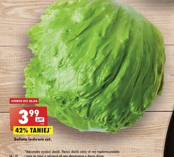 Biedronka Sałata lodowa oferta