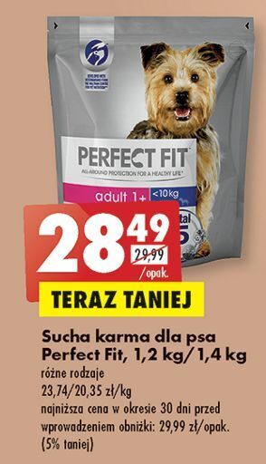 Biedronka Karma dla psa adult 1+ perfect fit oferta