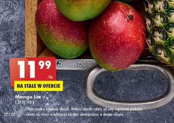 Biedronka Mango oferta