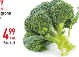 E.Leclerc Brokuł oferta