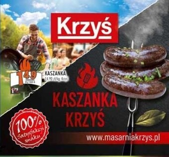 Stokrotka Kaszanka krzyś oferta