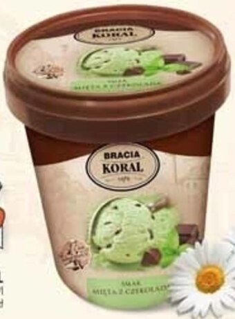 Stokrotka Lody bracia koral oferta