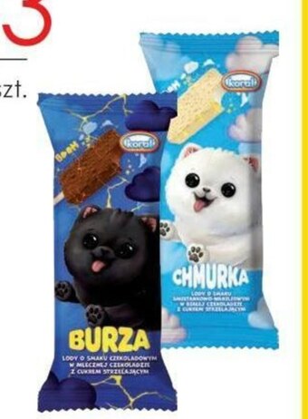 Frac Lody koral oferta