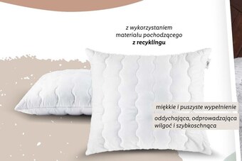 Lidl Poduszka livarno oferta