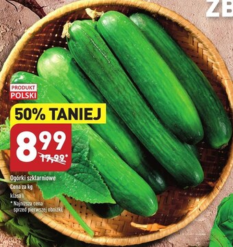 ALDI Ogórek oferta