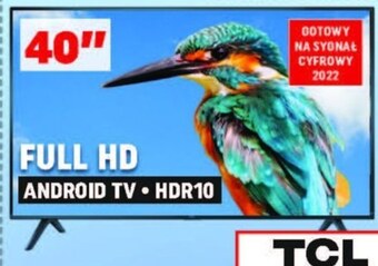 Neopunkt Telewizor tcl oferta