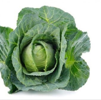 Avita Kapusta młoda oferta