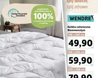 Lidl Wendre Kołdra całoroczna 140X200cm oferta