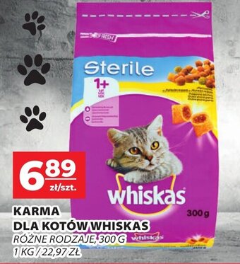 Top Market KARMA DLA PSÓW CHAPPI Z DROBIEM, ZWOŁOWINA I DROBIEM 500 G oferta