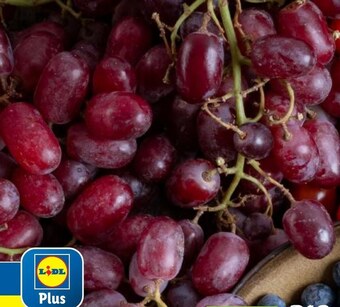 Lidl Winogrona oferta