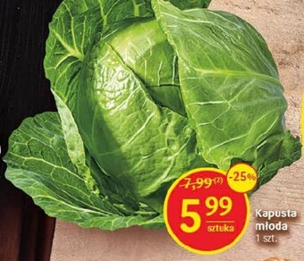 Delikatesy Centrum Kapusta młoda oferta