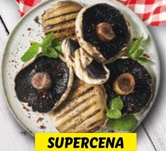 Lidl Pieczarki oferta