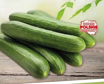 Gram Market Ogórki oferta