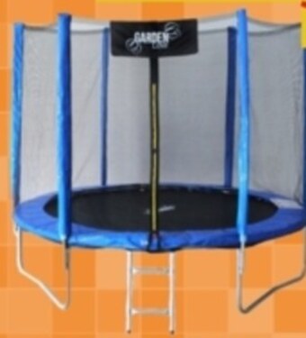 Mrówka Trampolina oferta