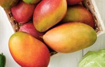 Stokrotka Market Mango oferta