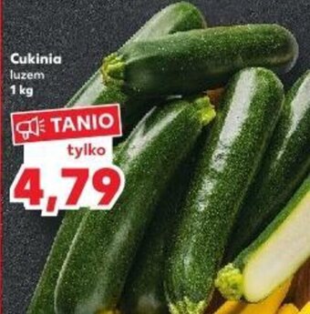 Kaufland Cukinia luzem 1 kg oferta