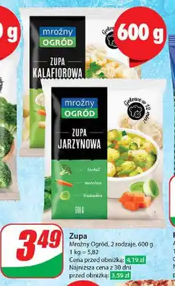 Dino Zupa jarzynowa oferta