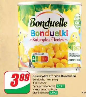 Stokrotka Kukurydza złocista oferta