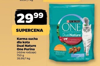 Netto Karma dla kota purina one oferta