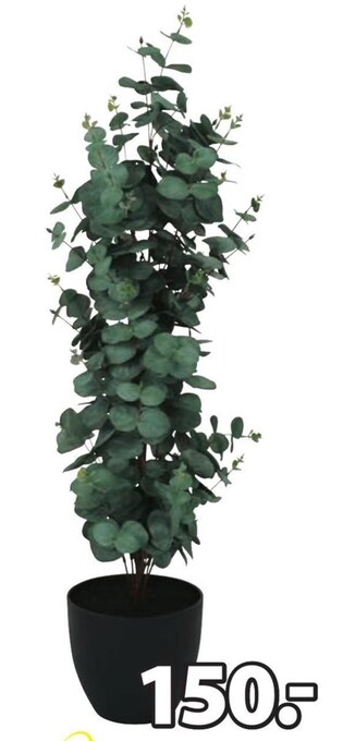 JYSK Sztuczna roślina oferta