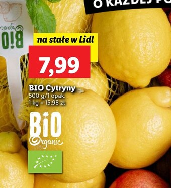 Lidl Cytryna oferta