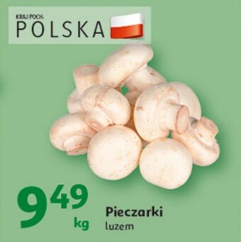 Auchan Pieczarki oferta
