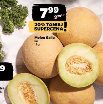 Netto Melon galia oferta