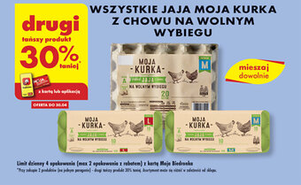 Biedronka WSZYSTKIE JAJA MOJA KURKA oferta