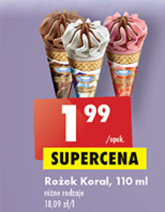 Biedronka Rożek Koral, 110 ml oferta