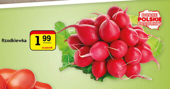 Gram Market Rzodkiewka za pęczek oferta