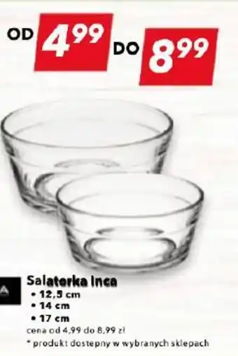 Lewiatan GALICJA Salaterka Inca oferta