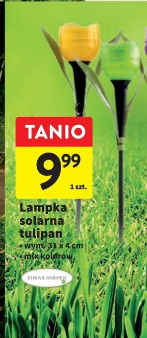Intermarche Lampka solarna tulipan oferta