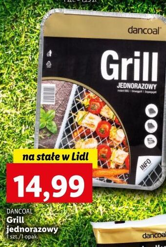 Lidl Grill jednorazowy piknikowy dancoal oferta