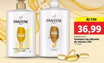 Lidl Szampon intensive repair pantene pro-v oferta