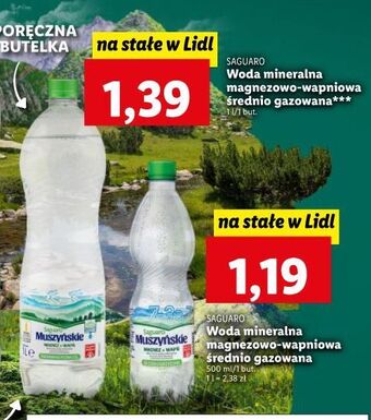Lidl Woda śrenio gazowana saguaro muszyńskie oferta