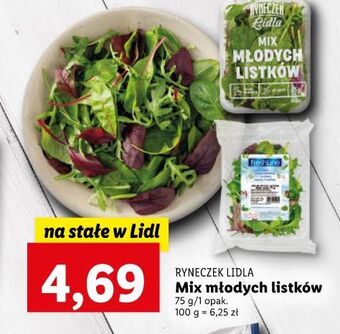 Lidl Mix młodych listków freshline oferta