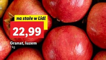 Lidl Granat oferta