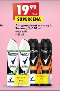 Biedronka Dezodorant workout hi-impact rexona men motionsense oferta
