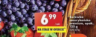 Biedronka Borówka amerykańska oferta