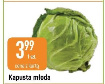E.Leclerc Kapusta młoda oferta