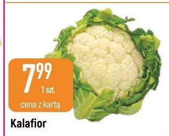 E.Leclerc Kalafior oferta
