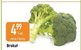 E.Leclerc Brokuł oferta
