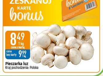 E.Leclerc Pieczarki oferta